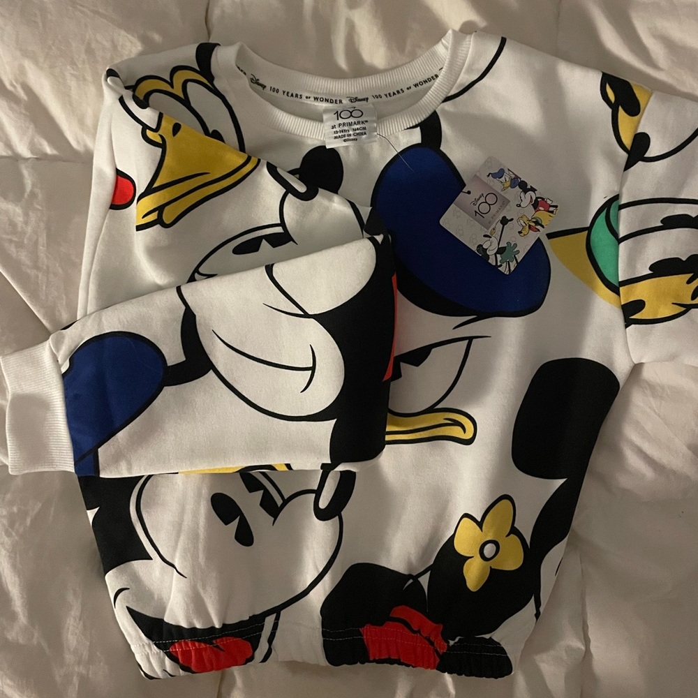 Cute cropped Disney sweater
